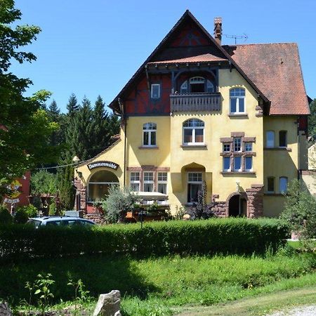 Hotel Dammenmuehle Lahr/Schwarzwald Kültér fotó