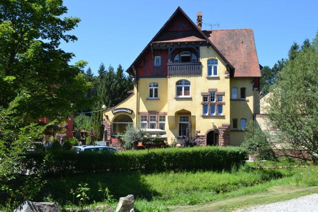 Hotel Dammenmuehle Lahr/Schwarzwald Kültér fotó